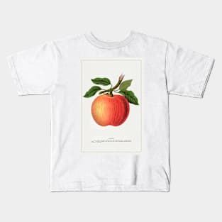 Gideon apple lithograph (1900) Kids T-Shirt